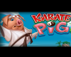 Karate Pig Slot by Microgaming