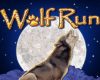 wolf-run-slot-igt-review