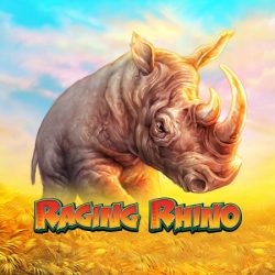 Raging Rhino high roller slot